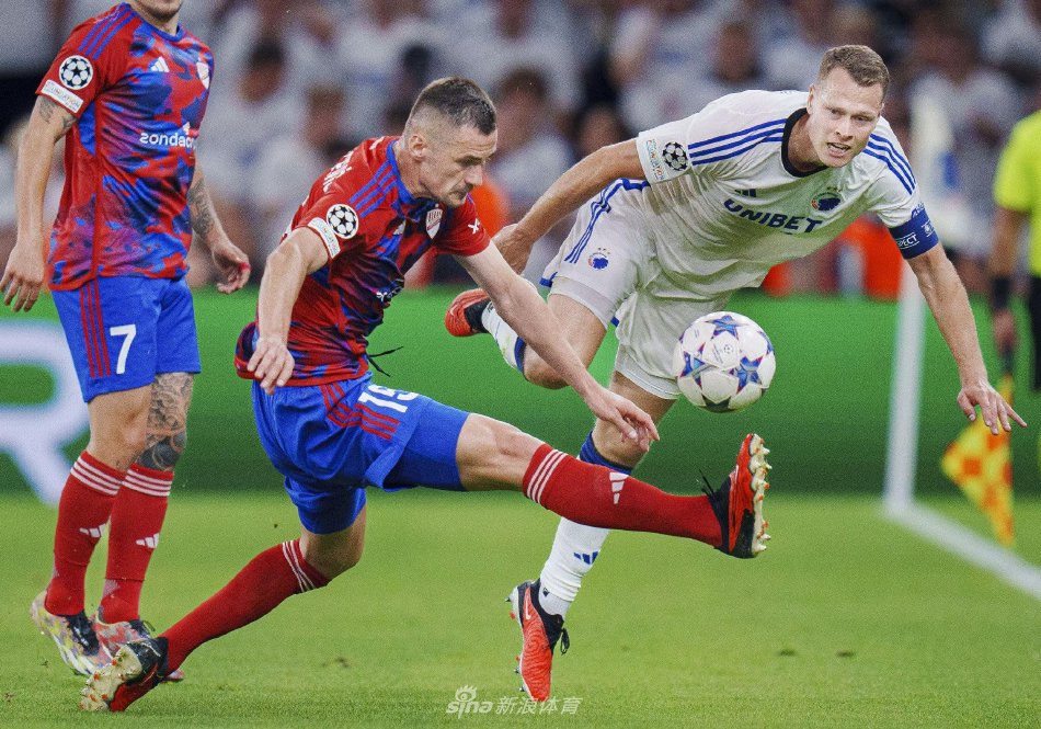 这并不意味 这并不意味