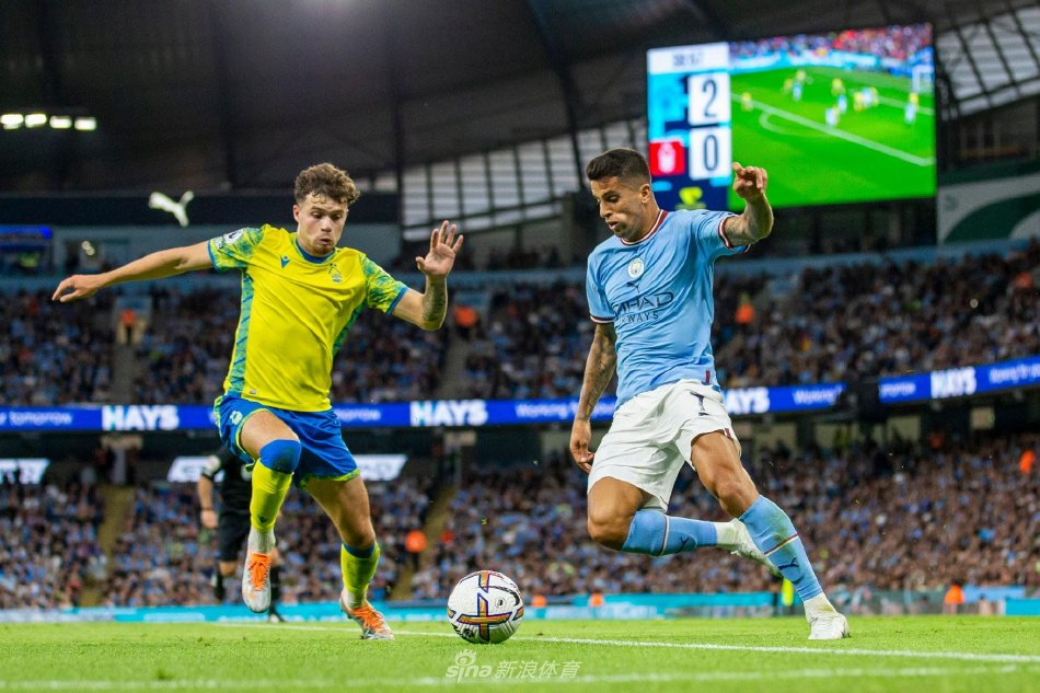 本文将深入 本文将深入